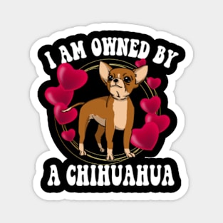 I am owned by a Chihuahua Magnet