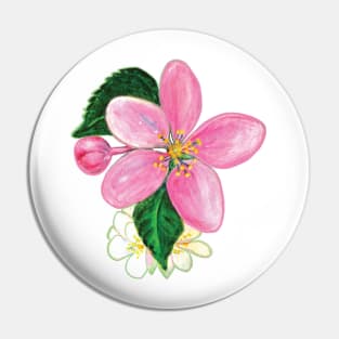 Pink Nectarine Blossom Illustration Pin