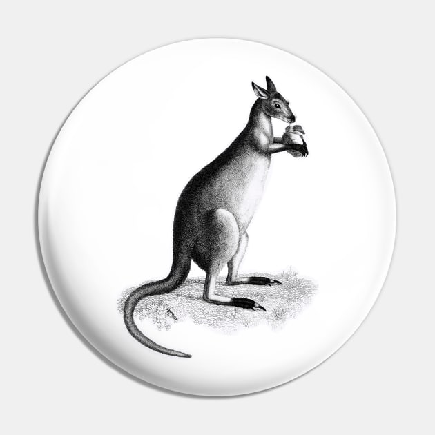 Kangaroo lowland king Pin by Marccelus