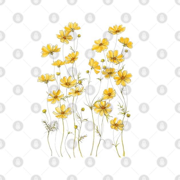 Yellow Cosmos, Illustration by JessicaRose