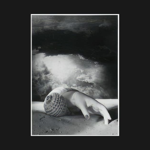 sans titre main coquillage 1934 - Dora Maar by Kollagio