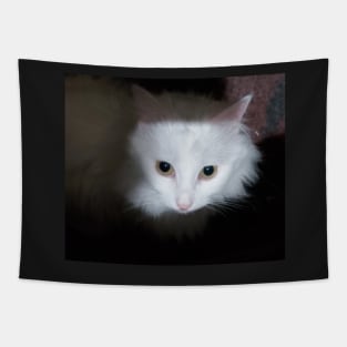 White cat Tapestry