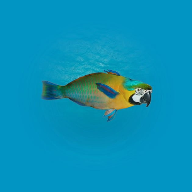 Parrotfish by Manatee Max