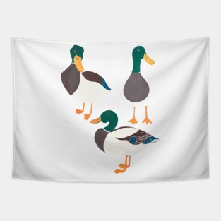 Happy ducks from the lake Tapestry