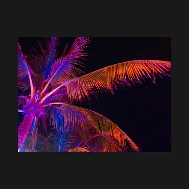 Palm Trees in Red Light by ephotocard