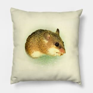 Cairo spiny mouse Pillow