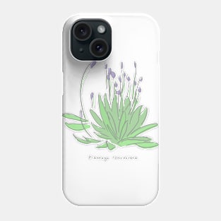 Plantago lanceolata Phone Case