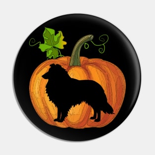 Sheltie in pumpkin Pin