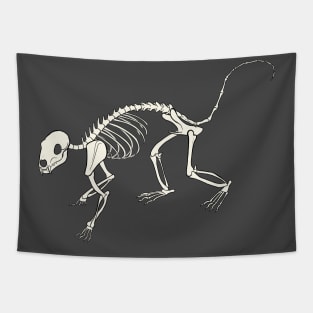 Quoll Skeleton Tapestry