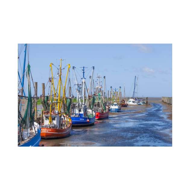 Cutter harbor, Dorumer Neufeld, Dorum, Lower Saxony, Germany, Europe by Kruegerfoto