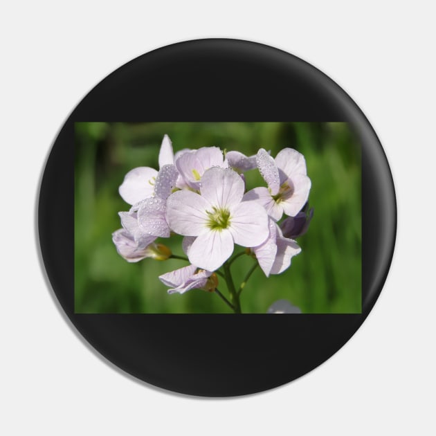 Cuckoo Flowers Pin by AH64D