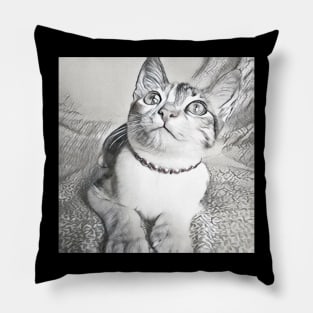 THE ADORABLE LOOK CAT PORTRAIT Pillow