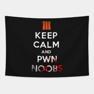 Pwn Noobs Tapestry