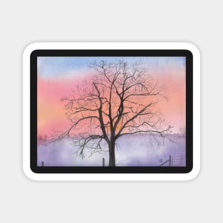 Winter Walnut Tree Silhouette in Sunrise Magnet