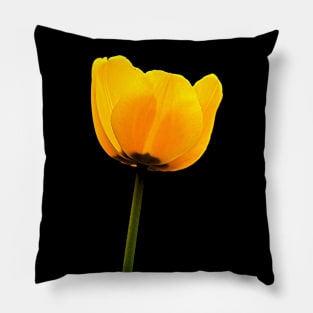 The Delightful Yellow Tulip Pillow