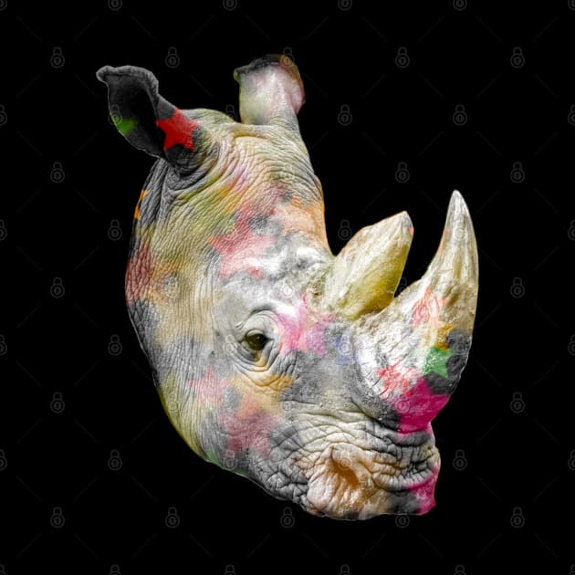 Rhino Disco by druscilla13