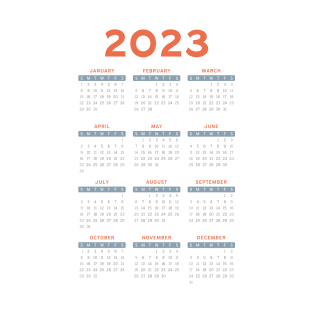 Minimal 2023 Calendar in Dusty Pastel Orange and Blue T-Shirt