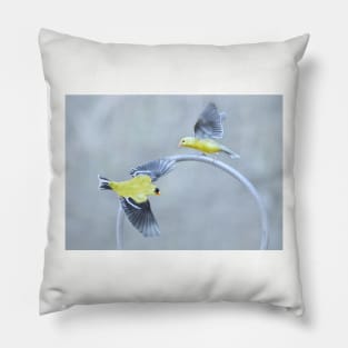 Goldfinches Pillow