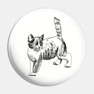 kitten Pin