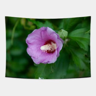 Pink hibiscus flower Tapestry