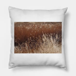 Morning Light Melody Pillow