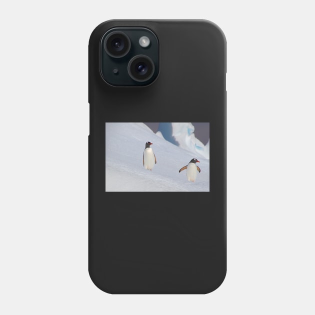 Gentoo Penguins On The Slippery Slope Phone Case by Carole-Anne