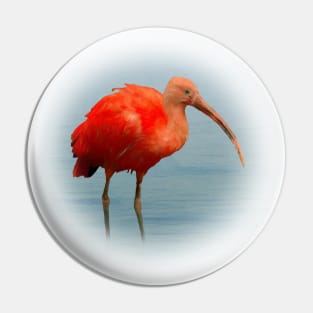 Scarlet ibis Pin