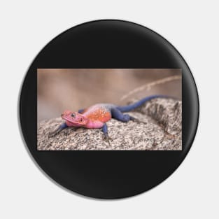 Colourful Lizard in the Serengeti Pin