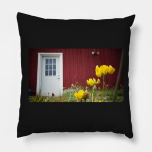 White Door on Red Building Pillow