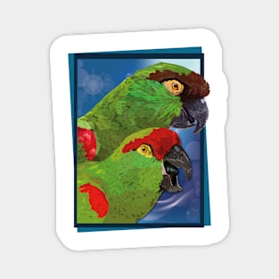 mountain parrot Magnet