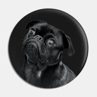 Cute Black Pug Pin