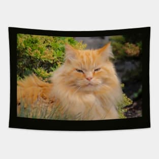 Ginger cat Tapestry