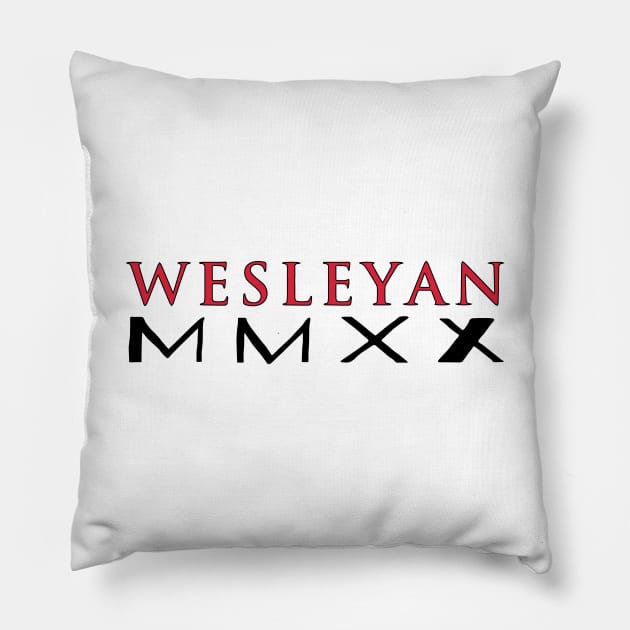 Wesleyan University 2020 Pillow by Window House