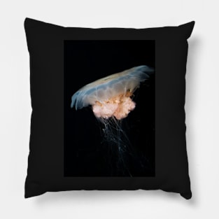 Irukandji Jellyfish Pillow