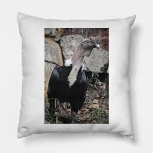 Andean Condor Pillow