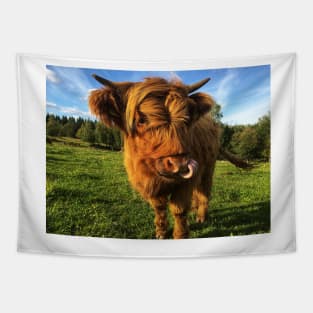 Scottish Highland Cattle Calf 2105 Tapestry