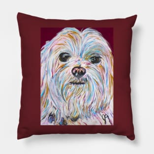 Maltese dog Pillow