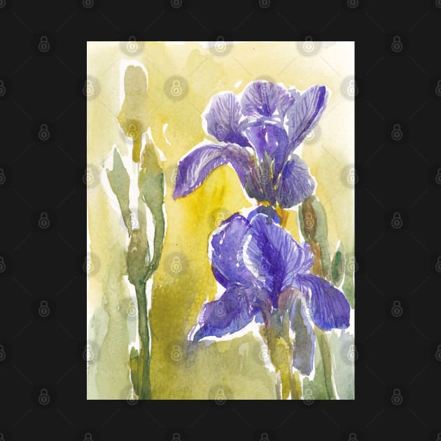 blue iris by saskece