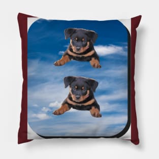 puppies on the blue rectangular background Pillow