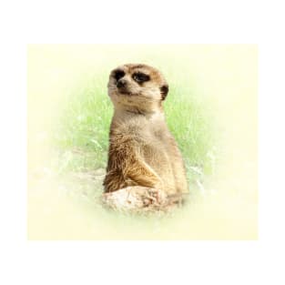 Meerkat T-Shirt