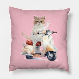 exotic short hair in scooter Pillow