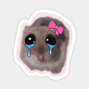 sad hamster with big eyes and a pink bow Magnet