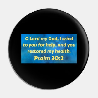 Bible Verse Psalm 30:2 Pin