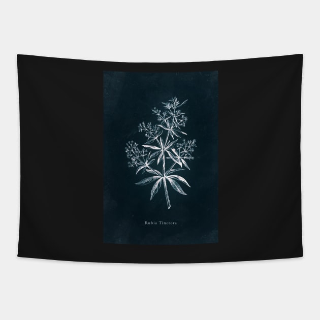 Cyanotype - Rubia Tinctora Tapestry by PixelHunter