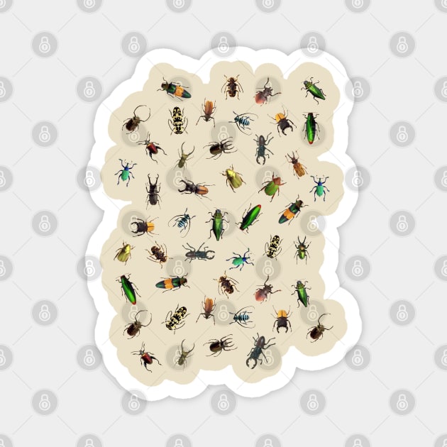 Beautiful Different Real crawling BUGS Pattern Magnet by EDDArt