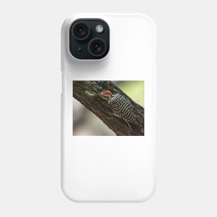 Ladder-Backed Woodpecker and Caterpillar Phone Case