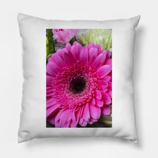 Pink  lovely Close Up Gerbera Daisy Pillow