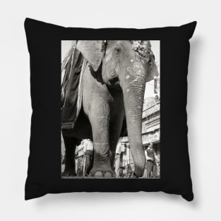 Vintage Photography Giant Indian Elephant Pillow