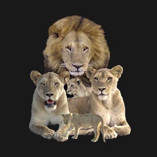 Lion Family in Kenya / Africa T-Shirt