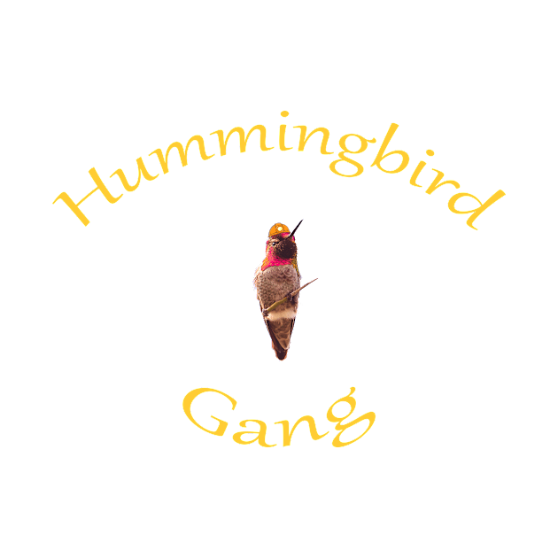 Hummingbird Gang by ejourdainjr